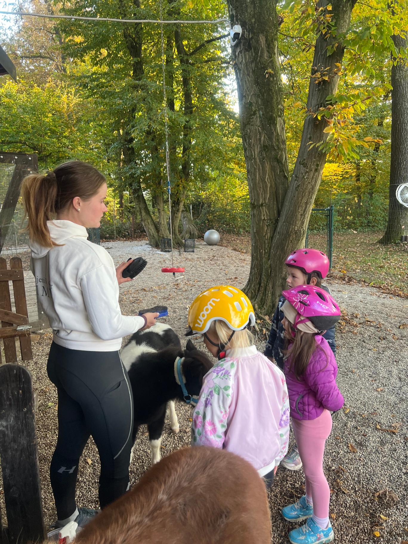 Inštruktorica in otroci med krtačenjem črno-belega mini ponija