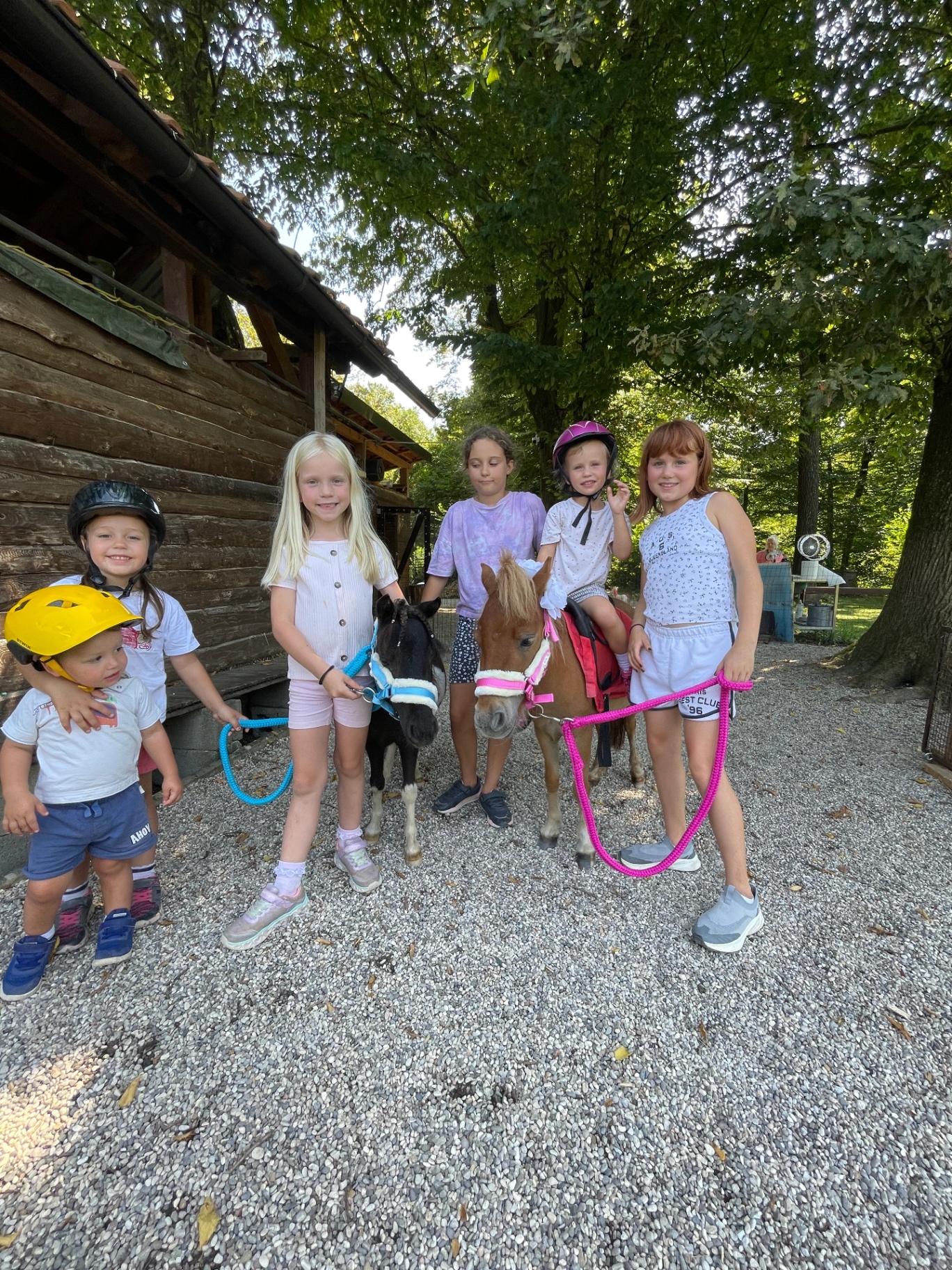 Skupina otrok z dvema mini ponijema pred lesenim objektom na ranču