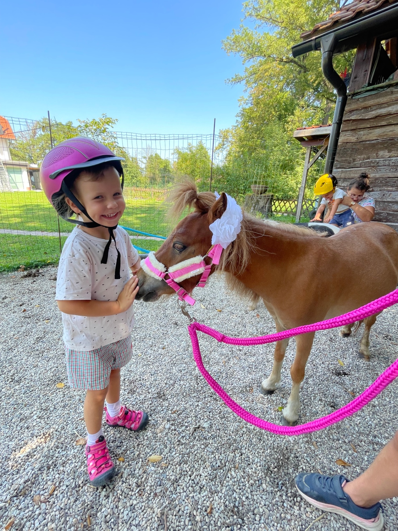 Nasmejan otrok boža rjavega mini ponija z rožnatim povodcem
