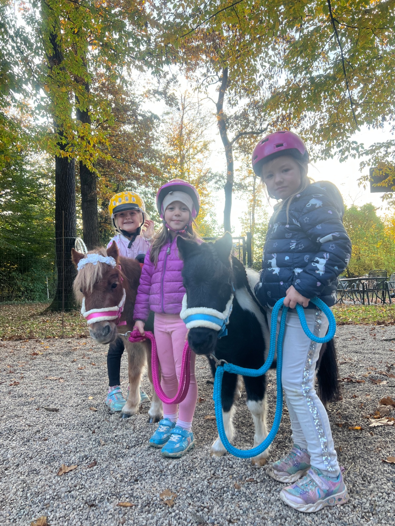 Tri deklice stojijo z rjavim in črno-belim mini ponijem na ranču